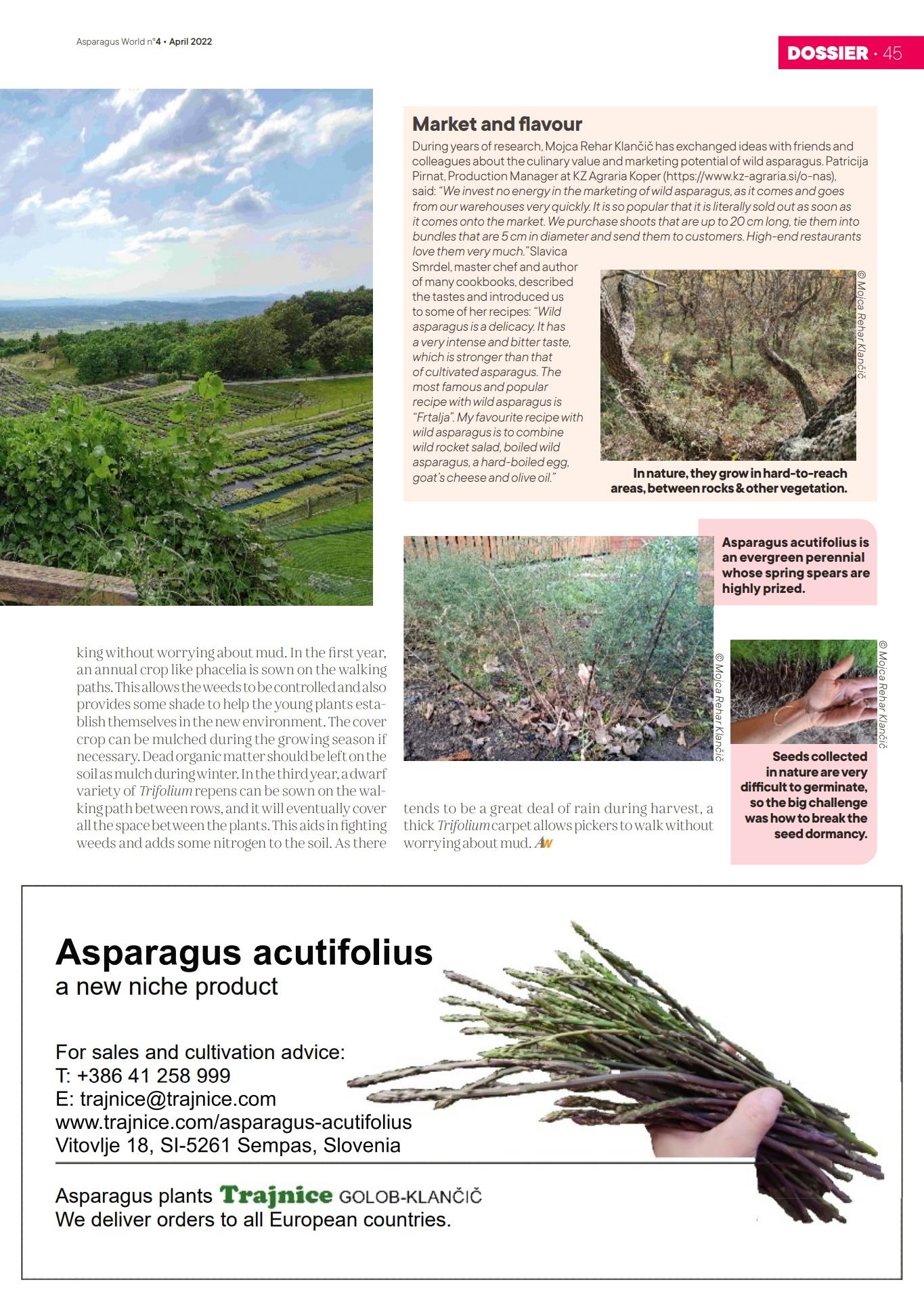 Our article about wild asparagus