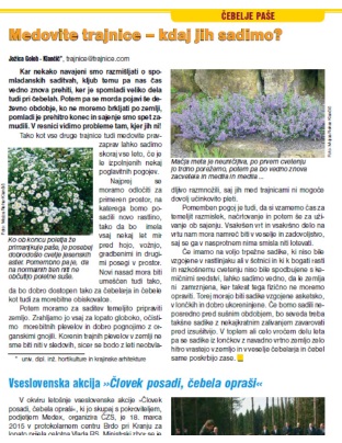 Medovite trajnice - Kdaj jih sadimo (objavljeno v reviji Slovenski čebelar - Čebelje paše -april 2015)