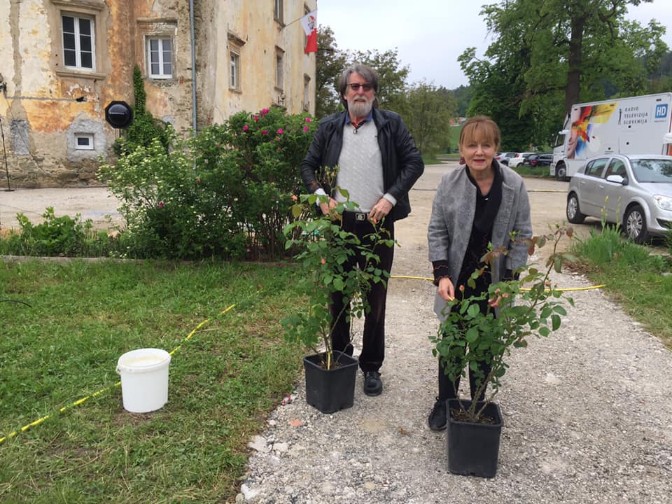 Gospod Franc Mikša in njegova soproga gospa Amalija Jelen Mikša sta prinesla vrtnici, ki jih je gospod posadil. Predstavljata vhod v pergolo in s tem vhod v grajski rožni vrt.