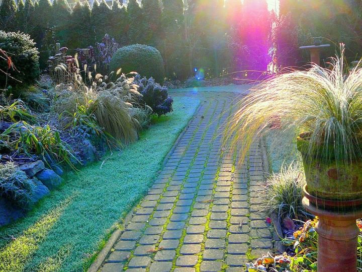 Fotografijo nam je poslala gospa Gospa Gabrijela Kermavner. Če je bil še kje kdo prepričan, da sta jesen in zima na vrtu otožna in moreča ... verjamem, da je zdaj spreobrnjen(a) 