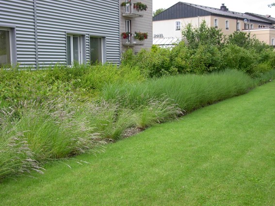S travami lahko oblikujemo inpozantne motive v kombinaciji z grmovnicami in trato.