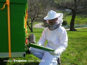 Na pašo smo dobili čebele iz Gorenjske. Na fotografiji je Blaž Ambrožič, ki čebelari z ženo Danijelo http://www.kralov-med.si