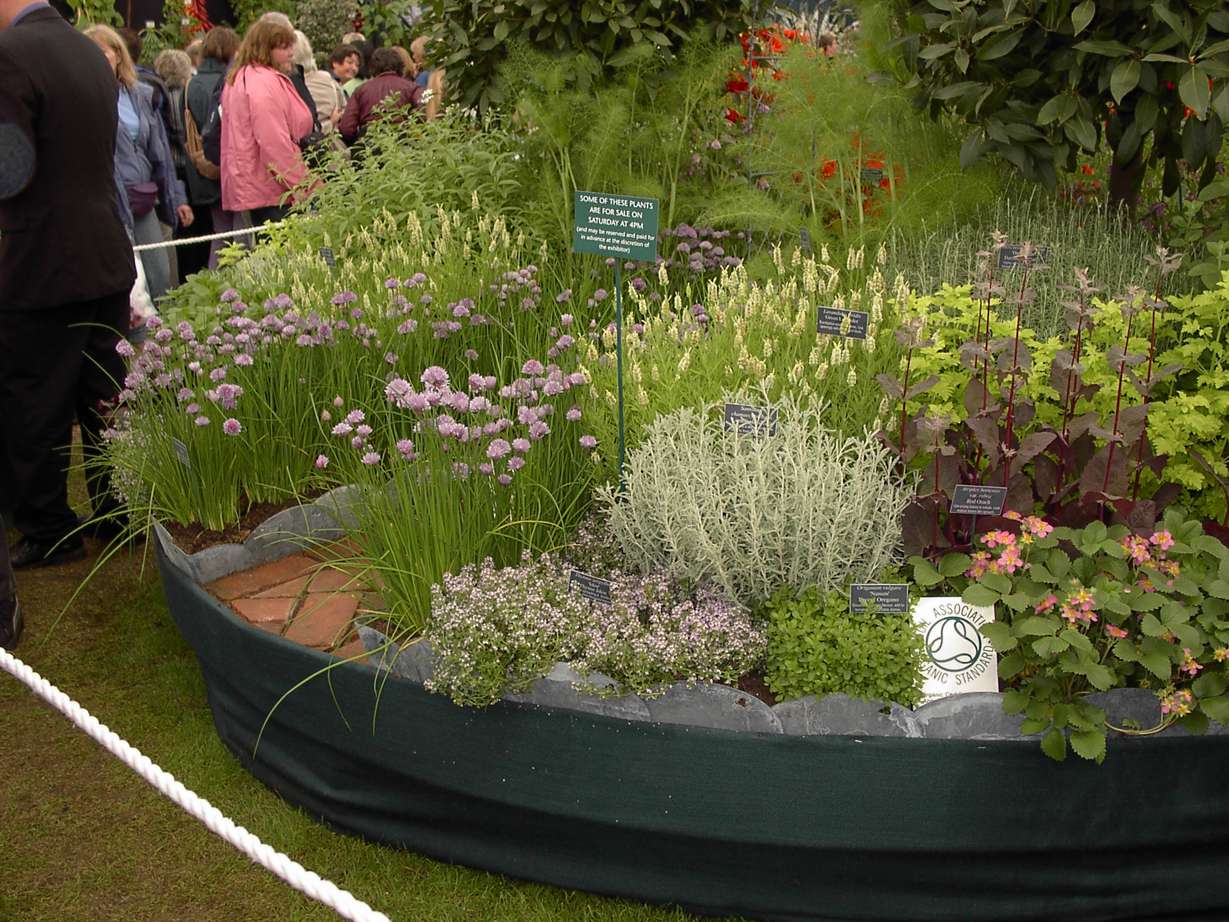 Zelišča in dišavnice imajo v kombinaciji z drugimi okrasnimi trajnicami dvojno funkcijo: so lepe in užitne. Posneto na londonski razstavi Chelsea Flower Show., služi pa nam lahko kot vzorec, ki ga ne bo težko posnemati. 