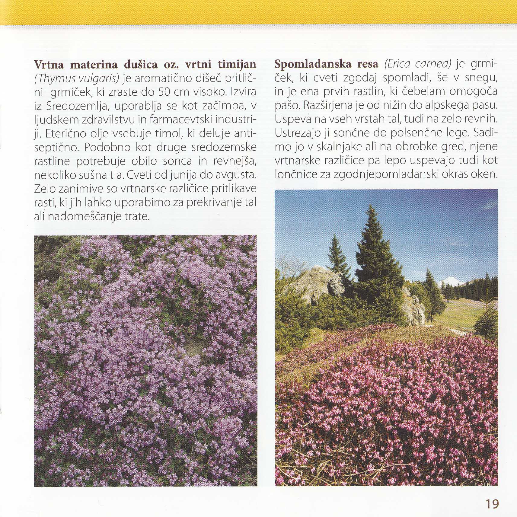 knjižice Medovite rastline na vrtu in ob čebelnjaku