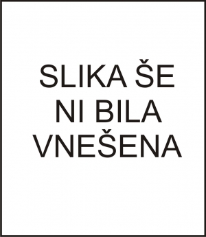 Armoracia rusticana (lapathifolia) &ndash;hren (velik lonec)